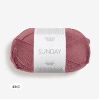 4343-bringebaer-sorbet